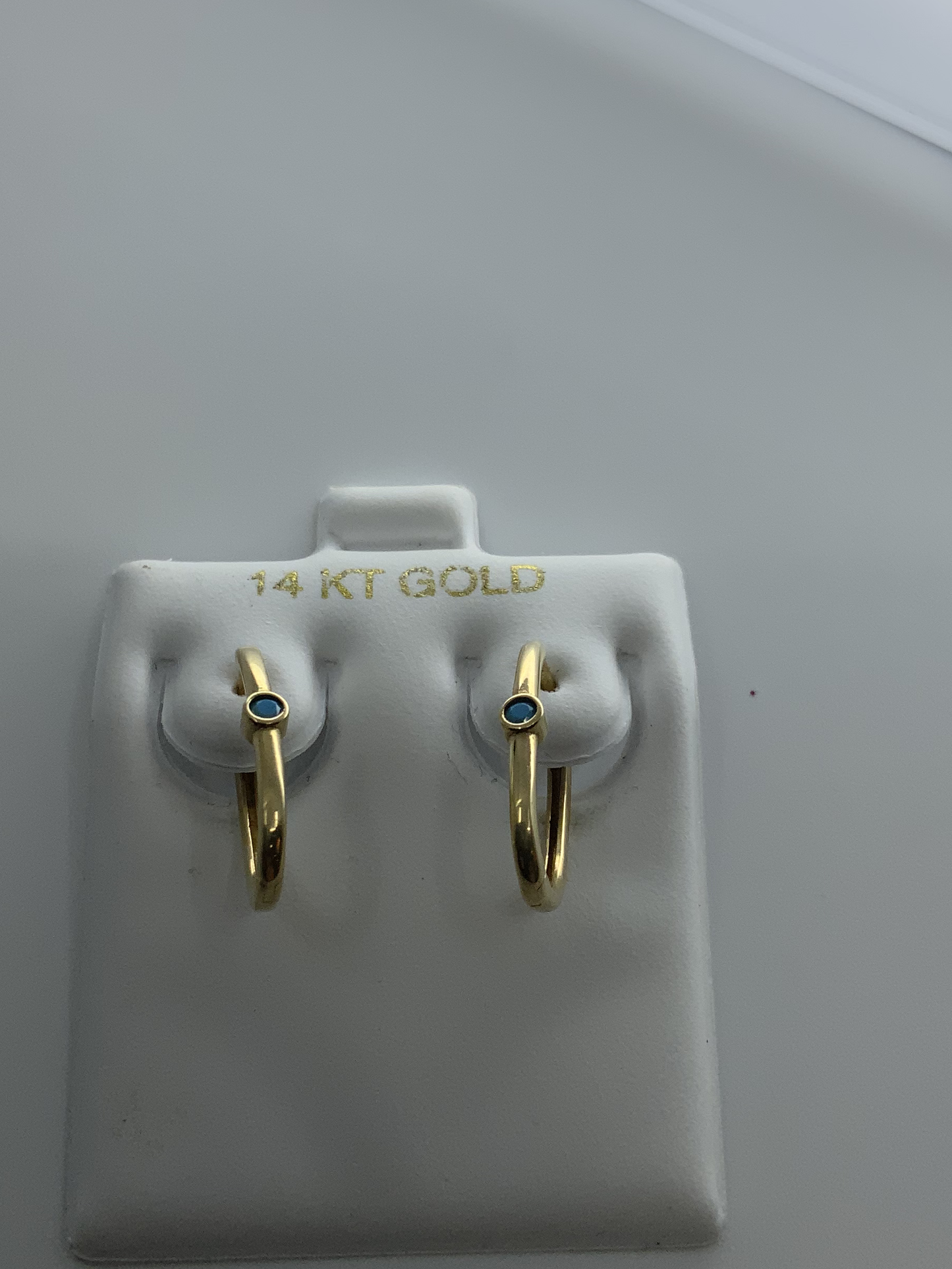 Earring 1.0mm 14K Gold